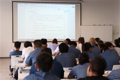 Elevating Automotive Excellence: Yichen Group Concludes Comprehensive VDA 6.3 Process Audit Training